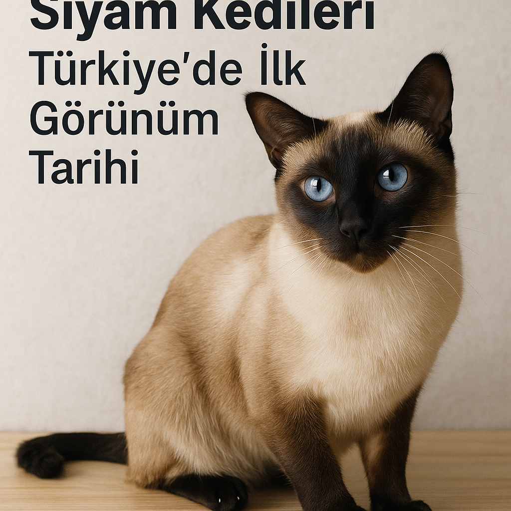 Siyam Kedileri: Türkiye’de İlk Görünüm Tarihi
